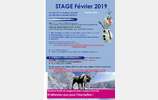 STAGE FÉVRIER 2019