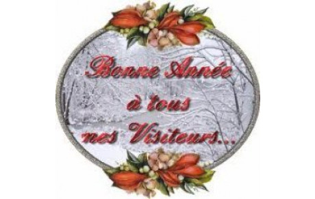 BONNE ANNEE 2012