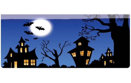 Stage de la TOUSSAINT ( + planning des journées )