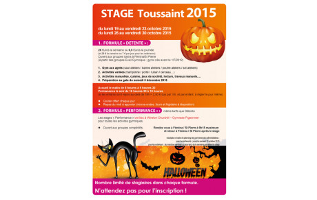 STAGES TOUSSAINT 2015