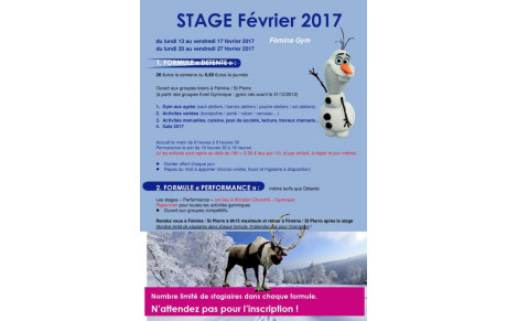 STAGE FÉVRIER 2017