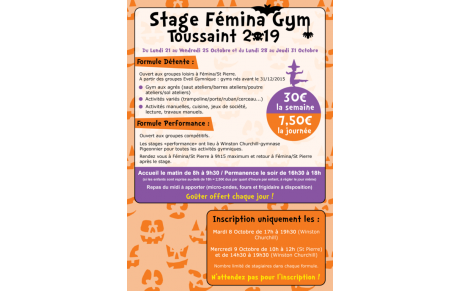 STAGE TOUSSAINT 2019